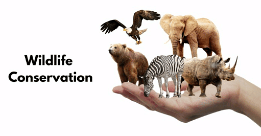 Wildlife: Conservation Projects | Zoology Optional Notes for UPSC