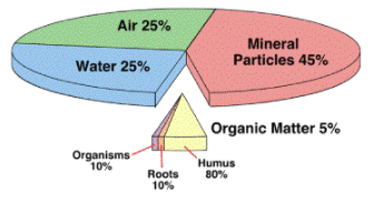 Genesis of Soils | Geography Optional for UPSC