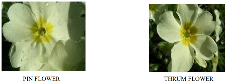 Incompatibility and Male Sterility and their Utilization in Crop Improvement - 1 | Agriculture Optional for UPSC