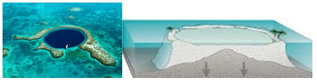 Coral Reefs & Coral Bleaching | Geography Optional for UPSC