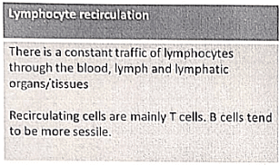 Immunology | Medical Science Optional Notes for UPSC