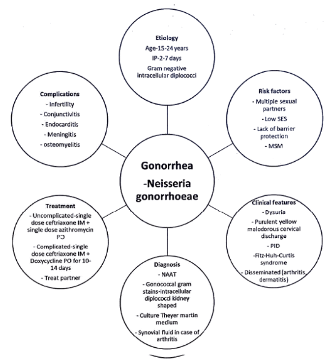 Leucorrhea and STDs | Medical Science Optional Notes for UPSC