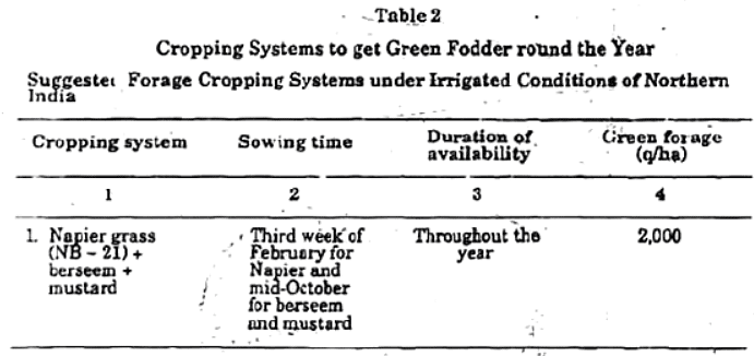 Supply of Greens Throughout the Year | Animal Husbandry & Veterinary Science Optional for UPSC