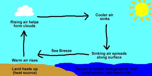 Topic wise Previous Year Questions (Solved) : Climatology | Geography Optional for UPSC
