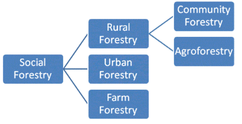 Social Forestry & Agroforestry | Geography Optional for UPSC