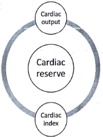 Cardiovascular System | Medical Science Optional Notes for UPSC