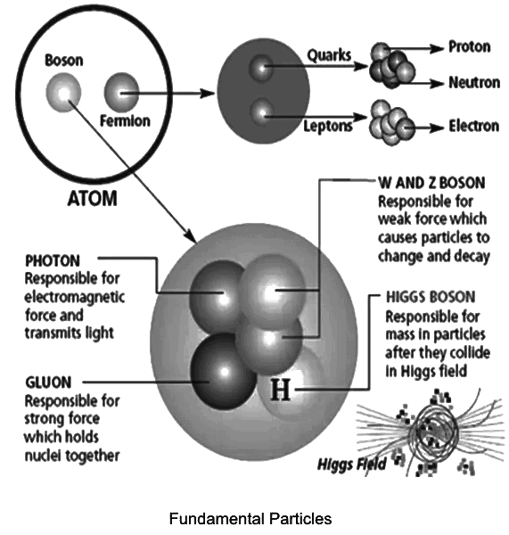 Particles Family Classification of Elementary Particles - Physics Optional Notes for ...
