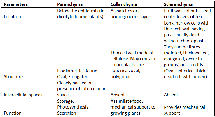 Angiosperms | Botany Optional for UPSC