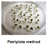 Physical Purity and Seed Germination Test | Agriculture Optional for UPSC