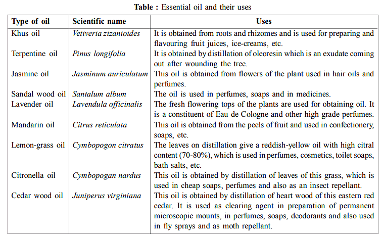 Plants as Sources for Food | Botany Optional for UPSC