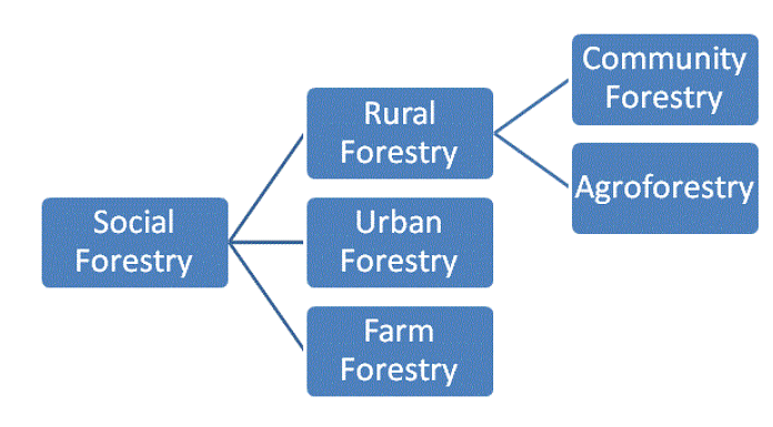 Agroforestry and Value Addition | NABARD Grade A & Grade B Preparation - Bank Exams