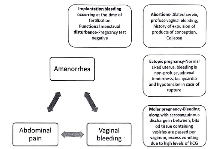 First trimester bleeding | Medical Science Optional Notes for UPSC