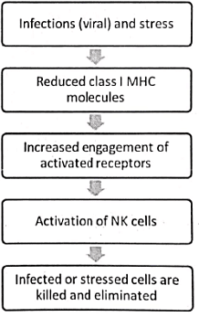 Immunology | Medical Science Optional Notes for UPSC