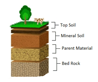 Mineral and Organic Constituents of Soils and their Role | Agriculture Optional for UPSC