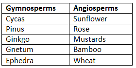 Phanerogams: Definition, Characteristics & Importance | Botany Optional for UPSC