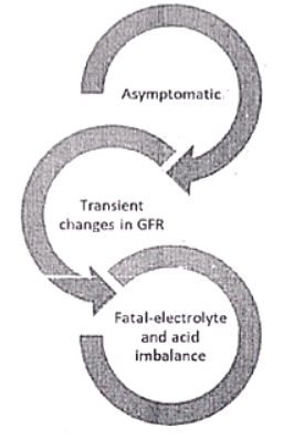 Acute Kidney Injury | Medical Science Optional Notes for UPSC