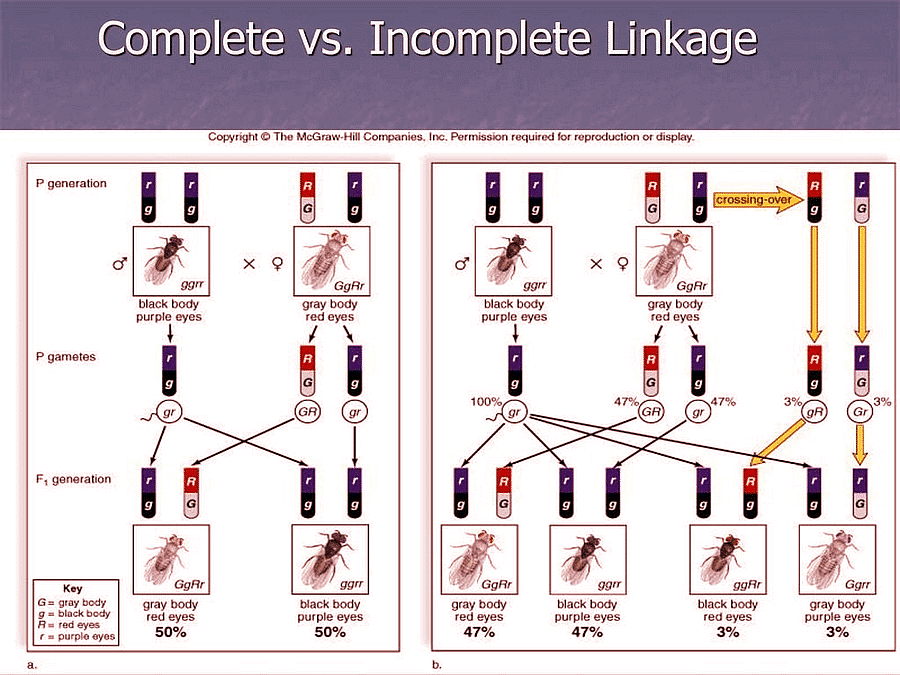Linkage | Zoology Optional Notes for UPSC