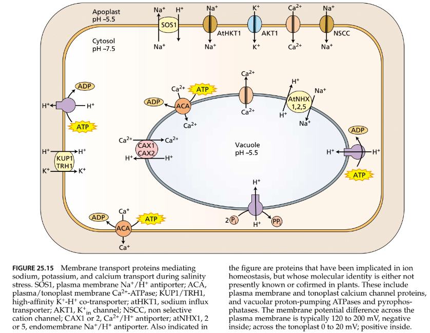 Stress Physiology | Botany Optional for UPSC