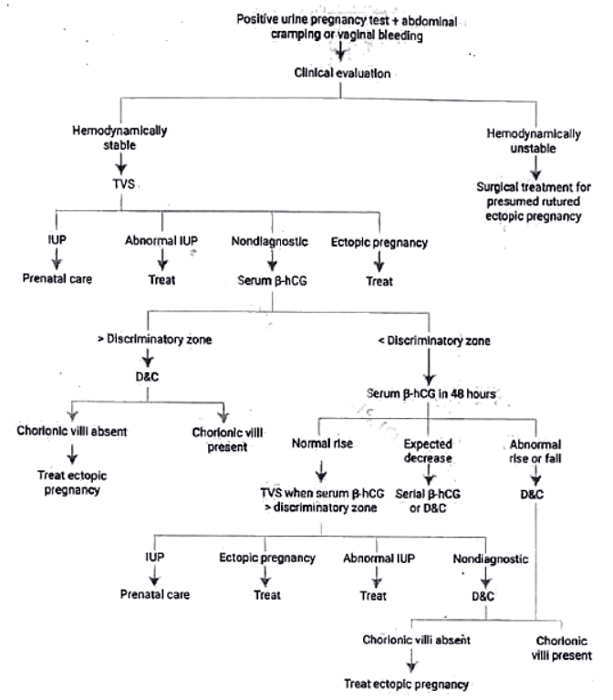 First trimester bleeding | Medical Science Optional Notes for UPSC