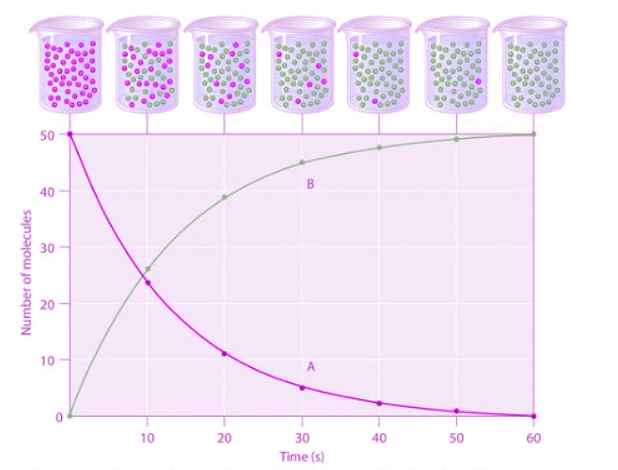 Reaction rates 