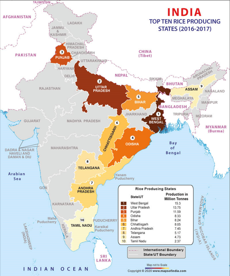 Rice map of India