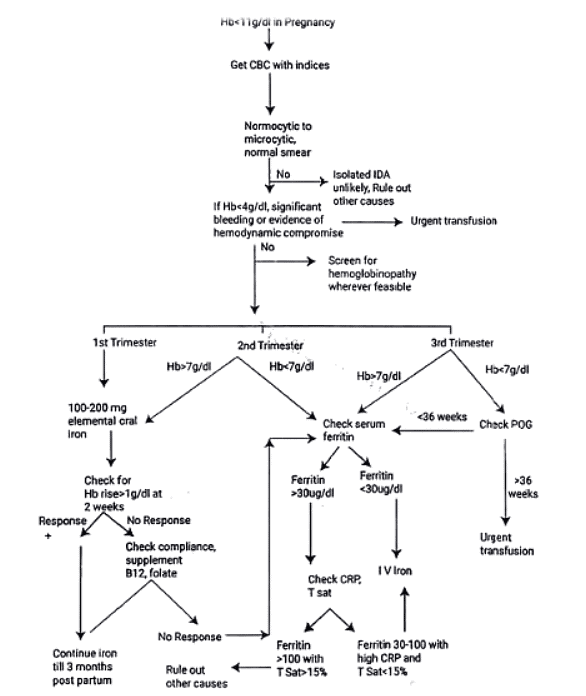 Anemia of Pregnancy | Medical Science Optional Notes for UPSC