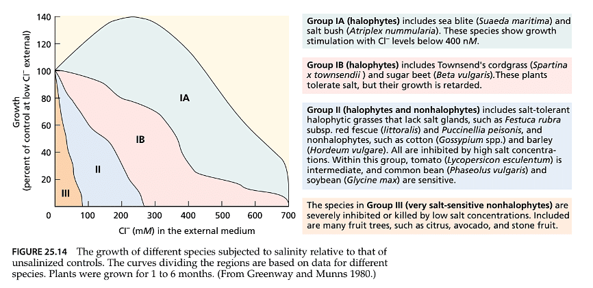 Stress Physiology | Botany Optional for UPSC