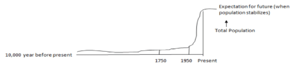 J Curve
