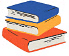 Practice Questions: Odd One Out | Mathematics Olympiad for Class 1