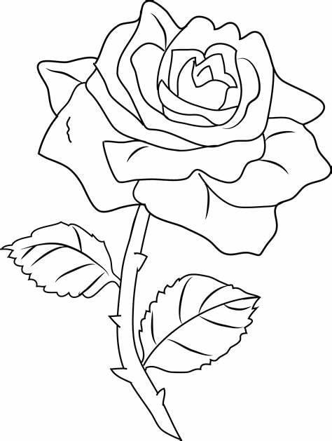 Printable Worksheet: Flowers - 1 | Hands on Art & Craft - Class 1