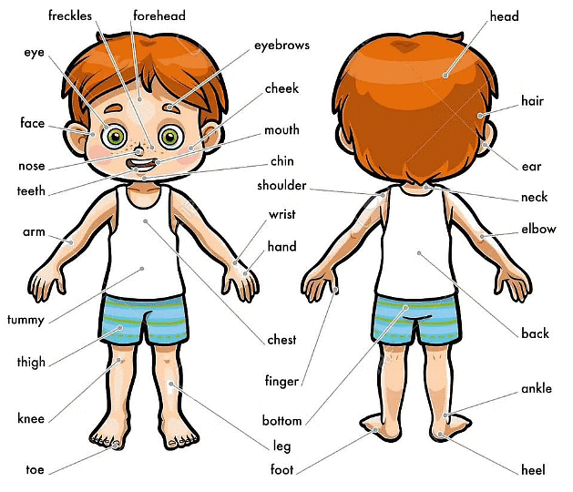 About Me | General Knowledge Olympiad for Class 1
