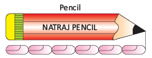 Olympiad Notes: Length, Weight And Capacity | Mathematics Olympiad for Class 1