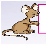 Worksheet Solution: One Little Kitten/Lalu and Peelu - 4