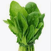 Lettuce