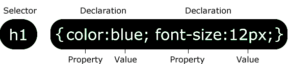 CSS Syntax & Selectors | CSS for Beginners - Class 6