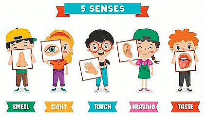 About Me | General Knowledge Olympiad for Class 1