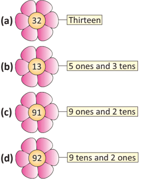 Mathematics Olympiad Model Test Paper - 3 | Mathematics Olympiad for Class 1
