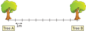 Mathematics Olympiad Model Test Paper - 1 | Mathematics Olympiad for Class 1