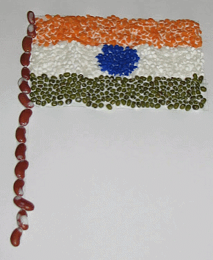 Craft Ideas: Pulses Tiranga Flag | Hands on Art & Craft - Class 1