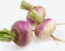 Turnip
