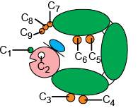 Logical Reasoning Section