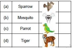 A Little Turtle/The Tiger and the Mosquito - 3 Class 1 Worksheet English Marigold Unit 8