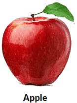 Parts of Plants | Science Olympiad for Class 1