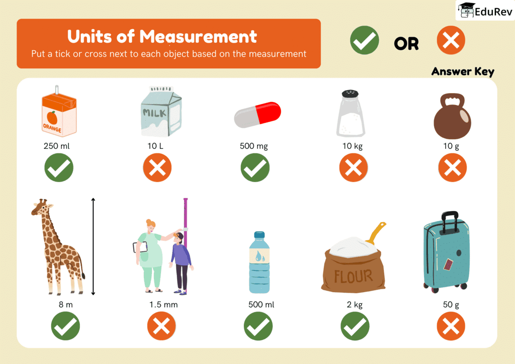 Printable Worksheet Solutions: Units of Measurement | Mathematics Olympiad for Class 1