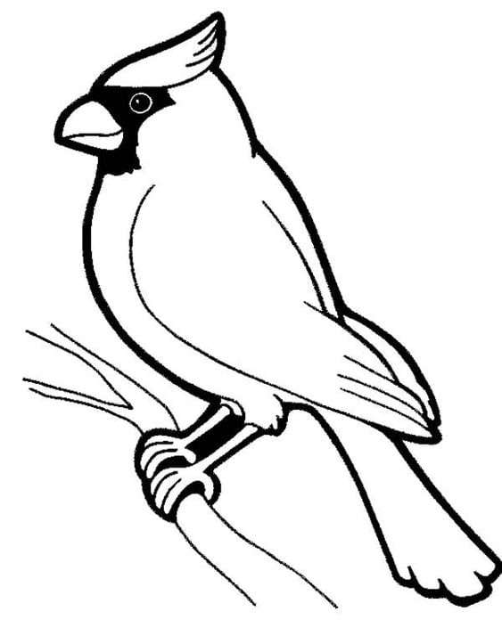 Printable Worksheet: Birds- 1 | Hands on Art & Craft - Class 1