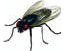 Science Olympiad Previous Year Paper - 3 | Science Olympiad for Class 1