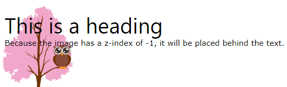 CSS- z-index | CSS for Beginners - Class 6