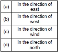 A Kite/Sundari - 1 Class 1 Worksheet English Marigold Unit 7