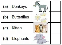 Worksheet Solution: One Little Kitten/Lalu and Peelu - 1