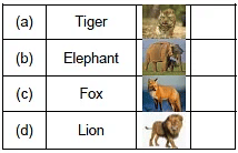 Worksheet Solution: Flying-Man/The Tailor and his Friend - 4